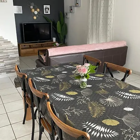 Maison Entiere 4 Lits 8 Pl Avec Jacuzzi Proche Du Safari De Peaugres *